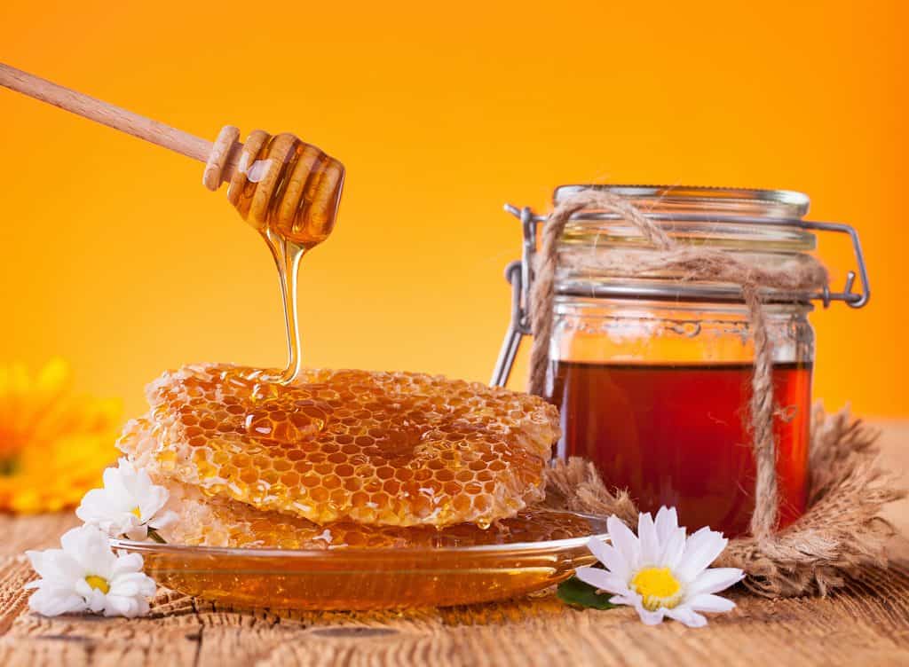 How Do Honey Bees Make Honey