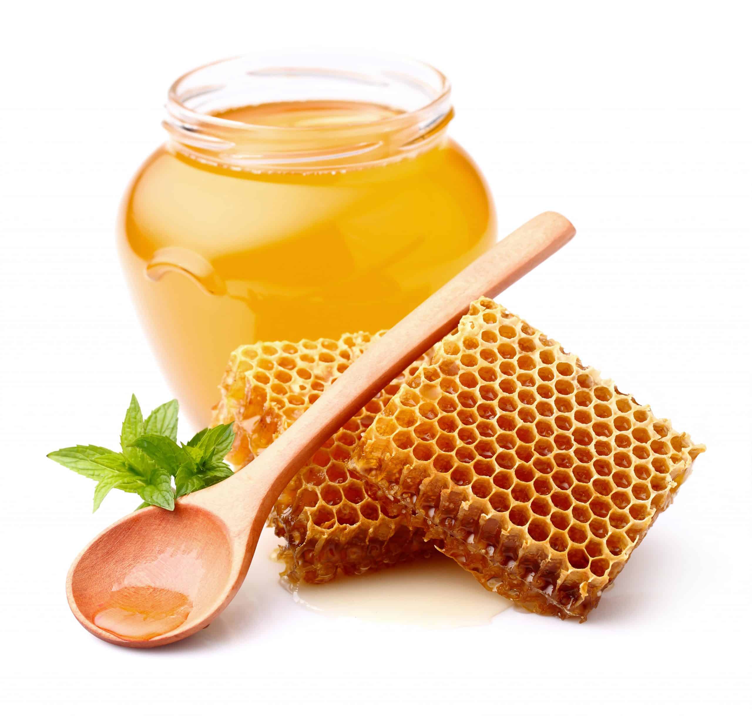 Honey Extractors